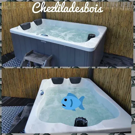 فندق مبيت وإفطار Maison D'hotes Chez Lila Des Bois 3*