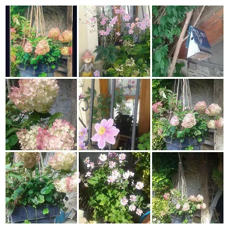 Maison D'hotes Chez Lila Des Bois 3*