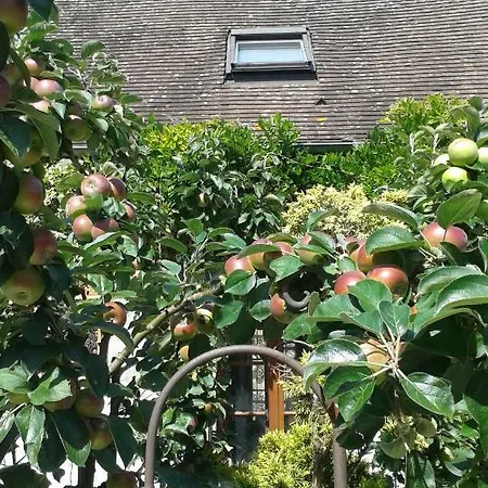 Maison D'hotes Chez Lila Des Bois 3* Nointel (Oise)