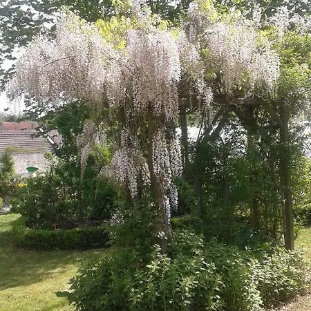 Bed & Breakfast Maison D'hotes Chez Lila Des Bois 3*
