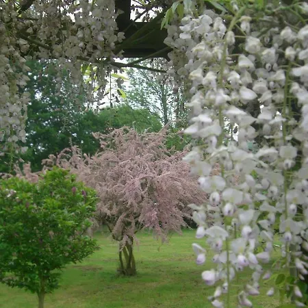 Maison D'hotes Chez Lila Des Bois فندق مبيت وإفطار 3*