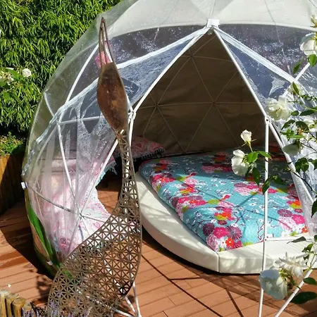 Maison D'hotes Chez Lila Des Bois Bed & Breakfast 3*