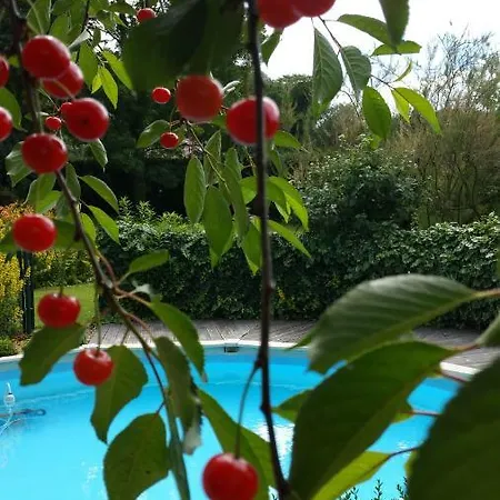 Maison D'hotes Chez Lila Des Bois