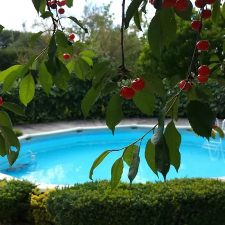 Maison D'hotes Chez Lila Des Bois فندق مبيت وإفطار