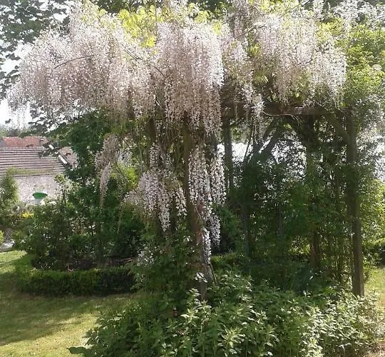 Bed & Breakfast Maison D'hotes Chez Lila Des Bois 3*